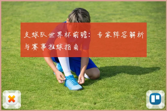 支球队世界杯前瞻：专家阵容解析与赛事推球指南