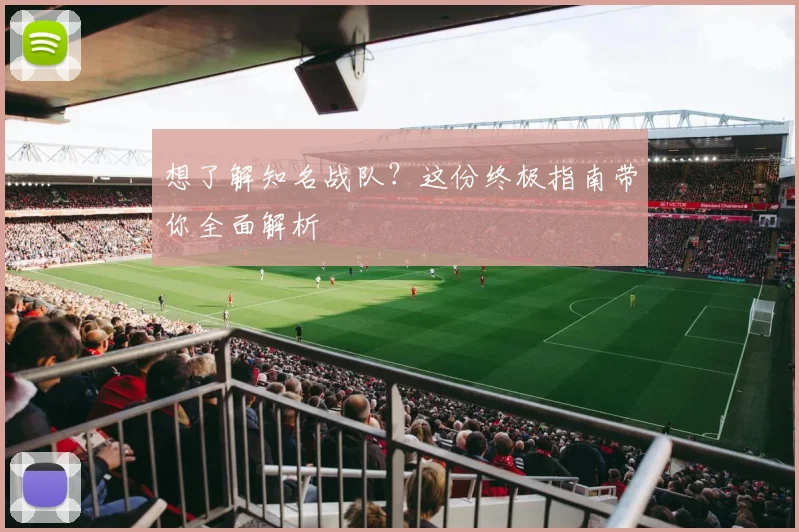 想了解知名战队?这份终极指南带你全面解析
